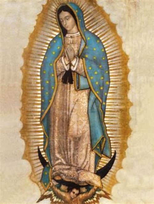 State Online Rosary Dec 12, 2024 - Our Lady of Guadalupe