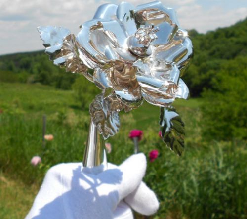 Silver Rose 2025